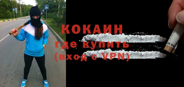 индика Анива