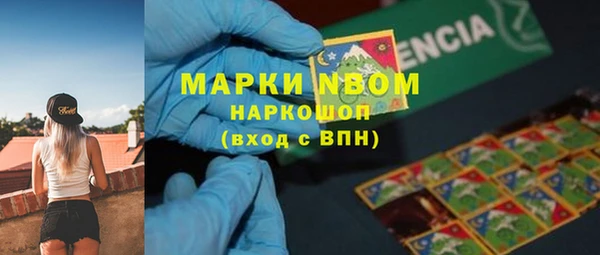 ГАЛЛЮЦИНОГЕННЫЕ ГРИБЫ Апатиты