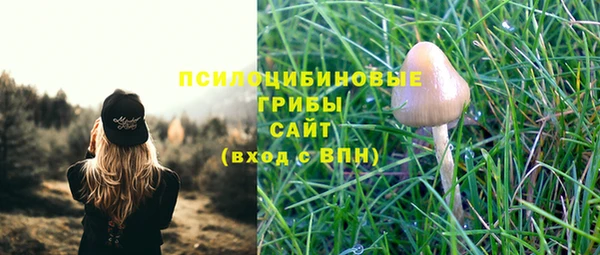 2c-b Покачи
