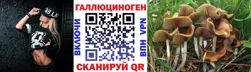 Псилоцибиновые грибы GOLDEN TEACHER  Пойковский 